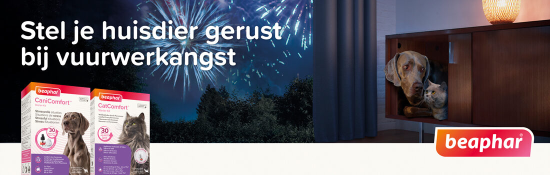 Stel je huisdier gerust bij vuurwerkangst