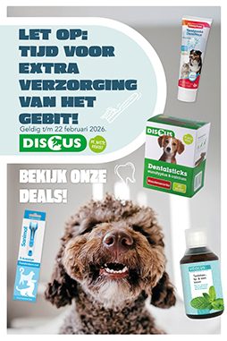 Discus dierenwinkel folder online
