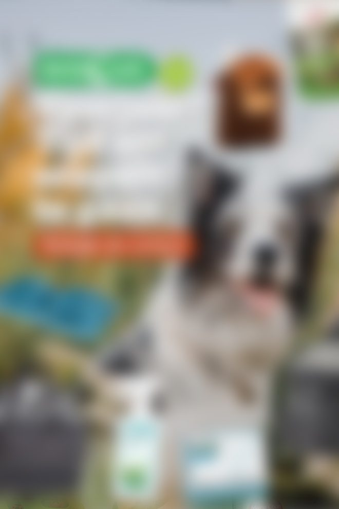 Discus dierenwinkel folder online