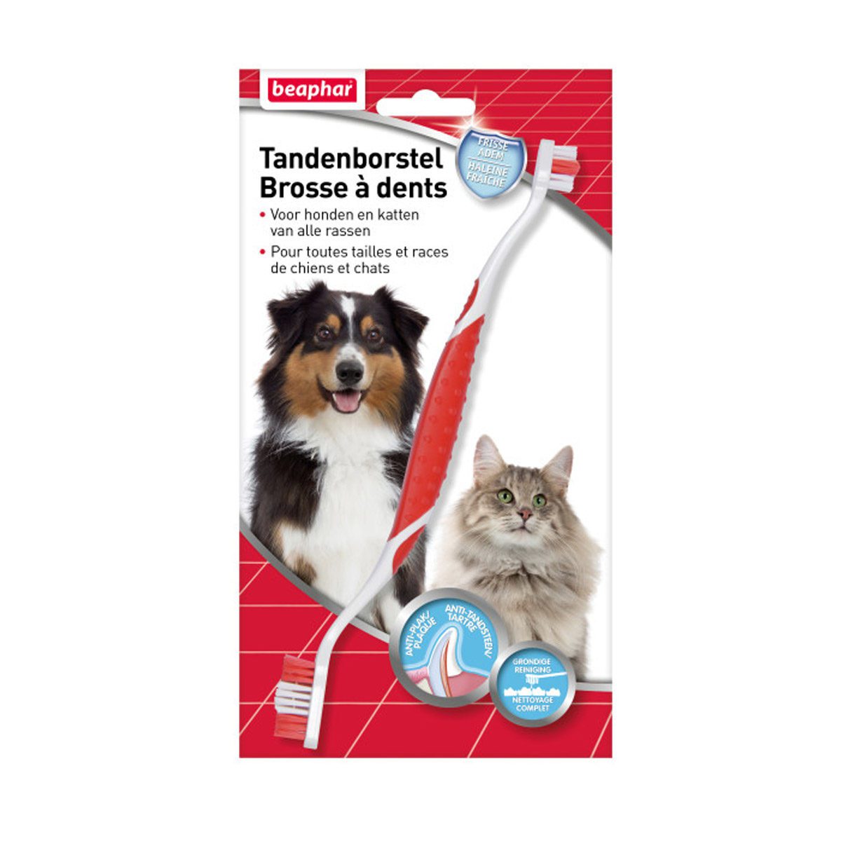 Katten tandenborstel