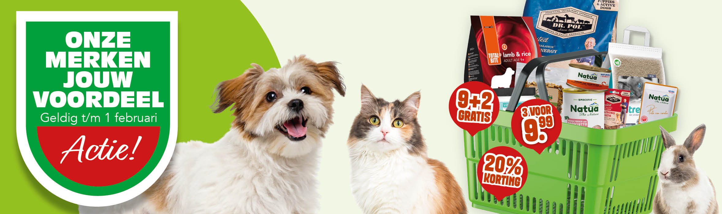 Actiepagina met de nieuwste aanbiedingen bij Discus