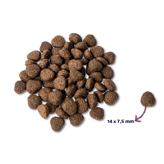 Renske Super Premium Puppy Verse Kip Met Lam Hondenvoer 600 gr