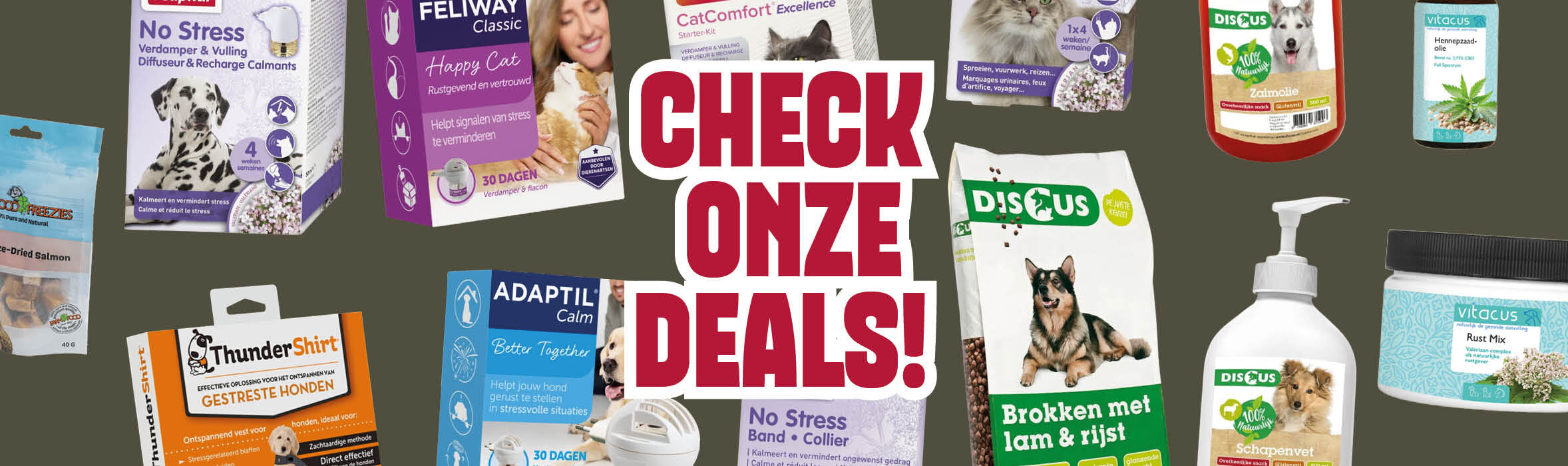 Actiepagina met de nieuwste aanbiedingen bij Discus
