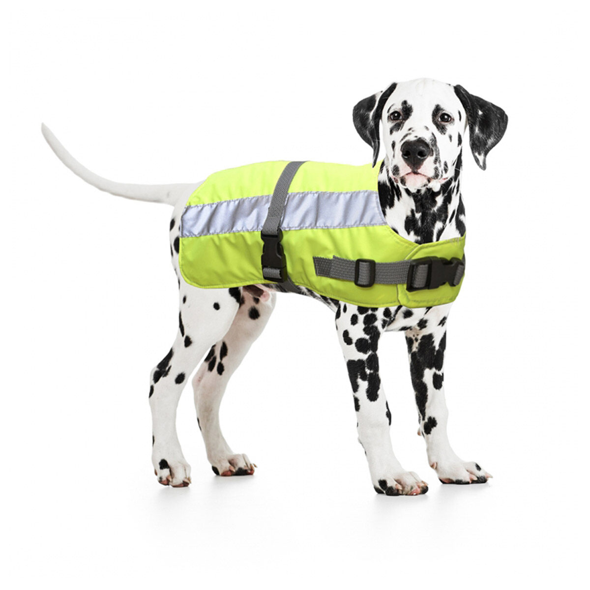 0001303986-5414365201289-duvo-flectalon-hi-vis-honden-jack-ruglengte-75cm-geel