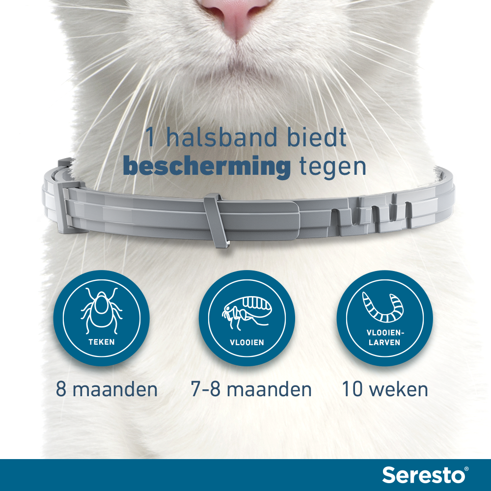 Seresto Vlooienband Kat