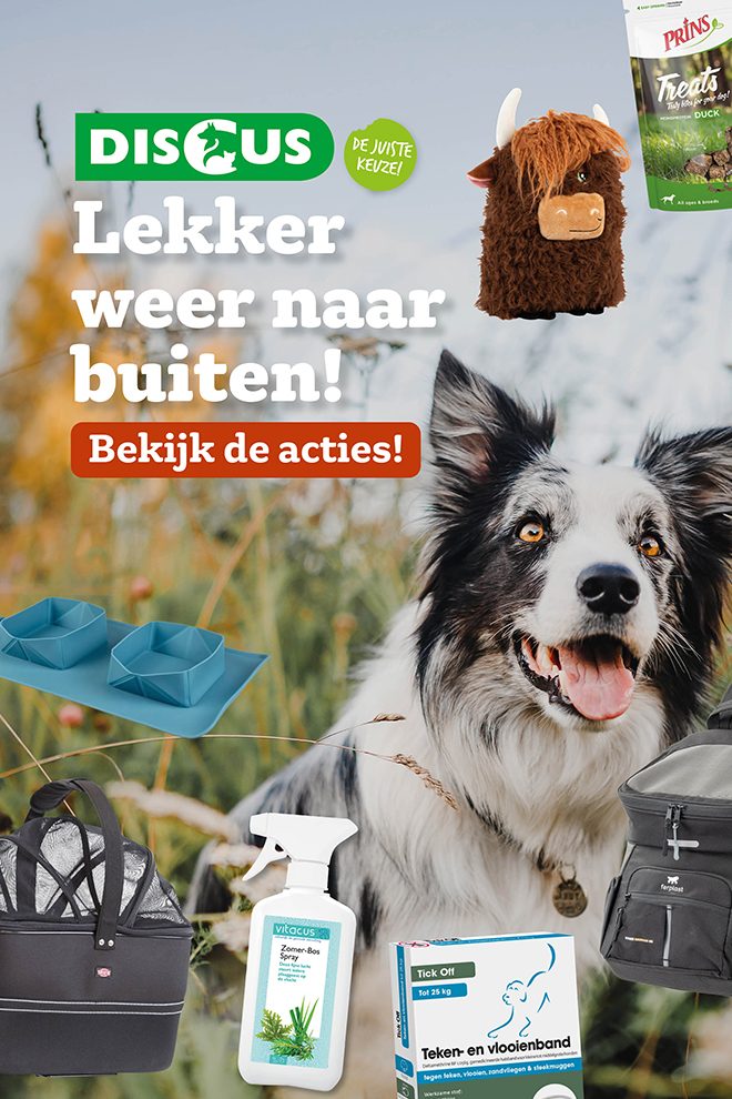 Discus dierenwinkel folder online