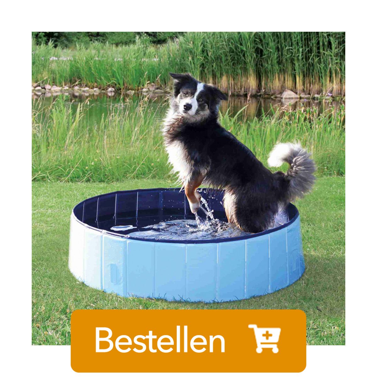 hondenzwembad