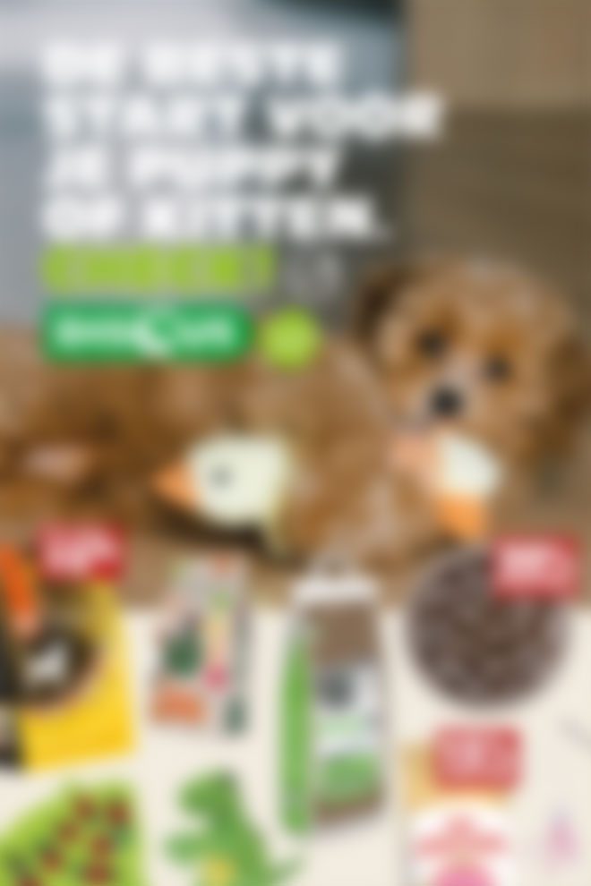 Discus dierenwinkel folder online