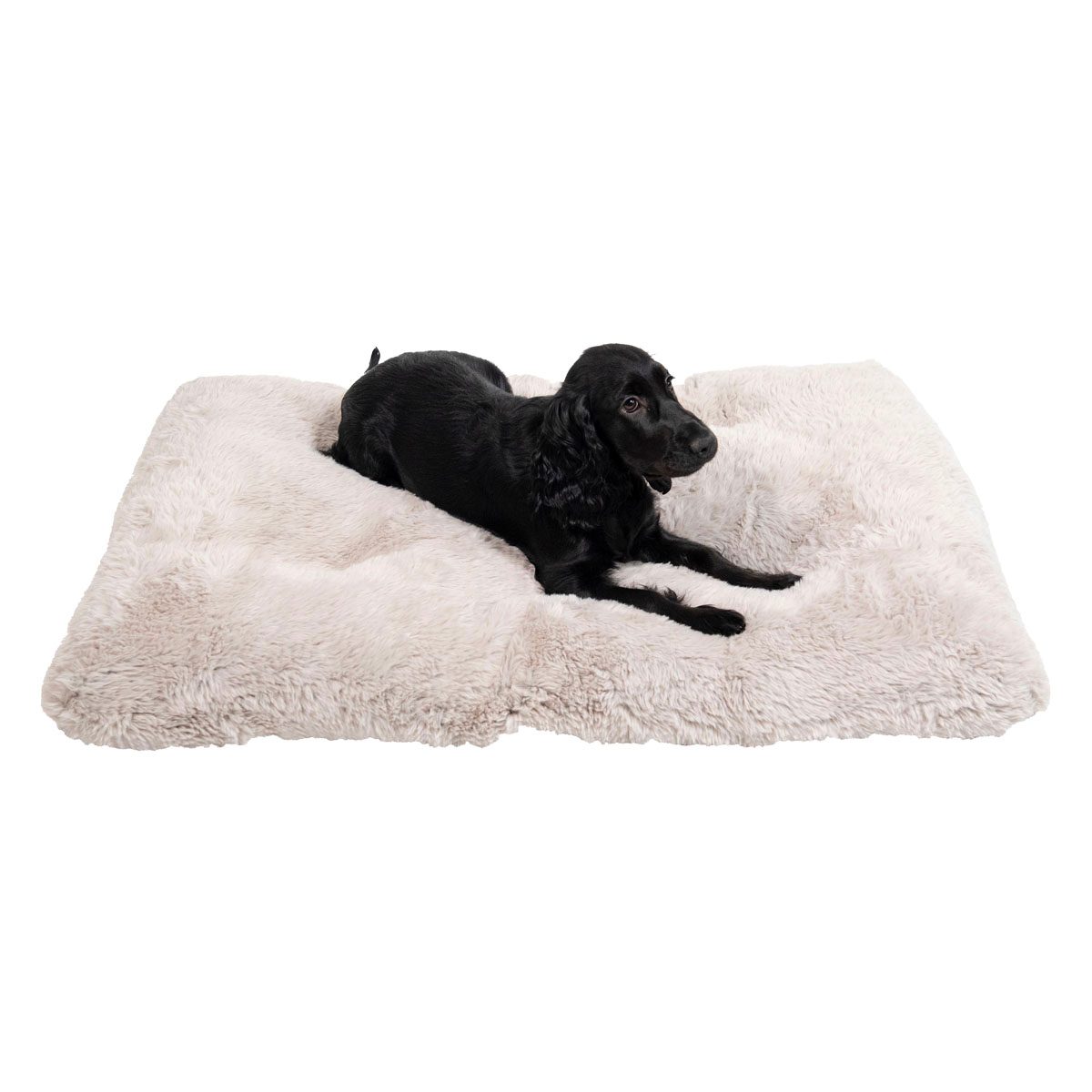 Review Jack and Vanilla Puff Hondenmand - - Hondenblog