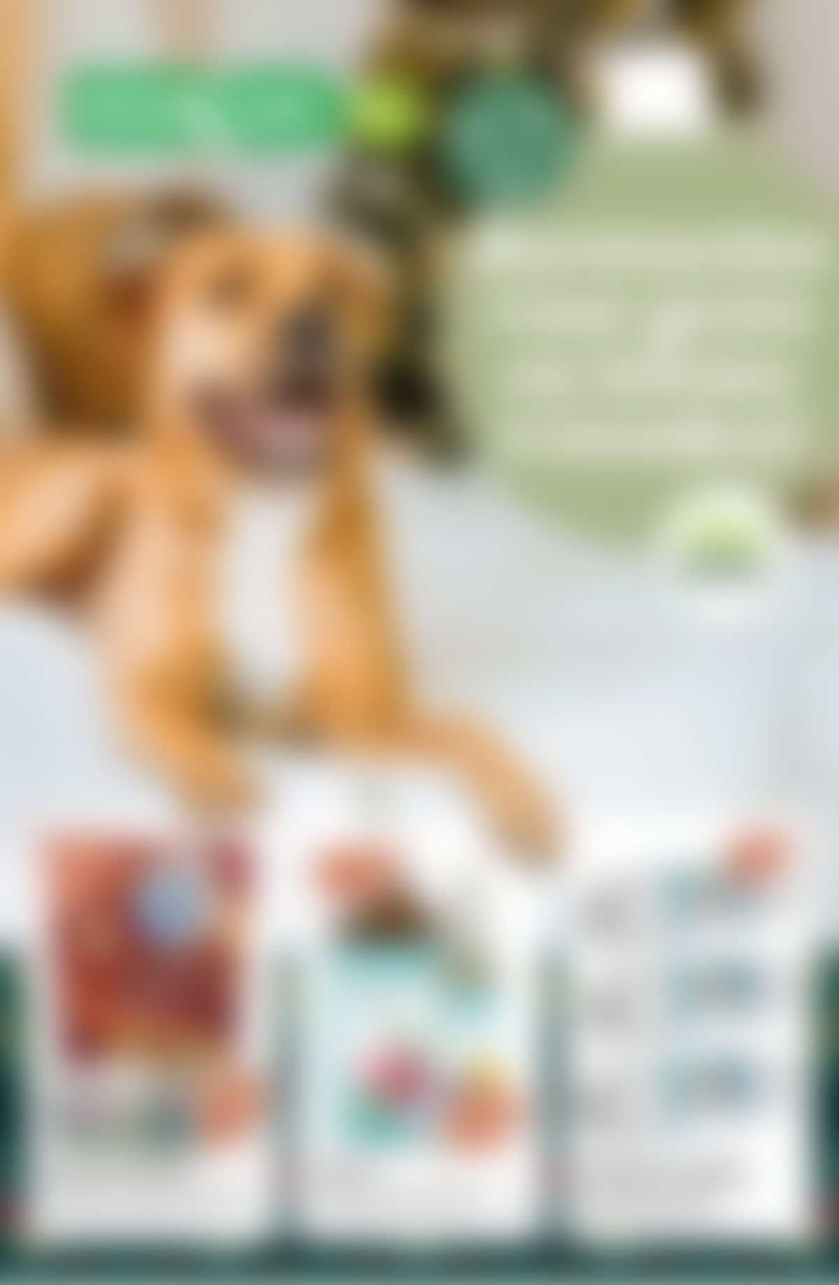 Discus dierenwinkel folder online