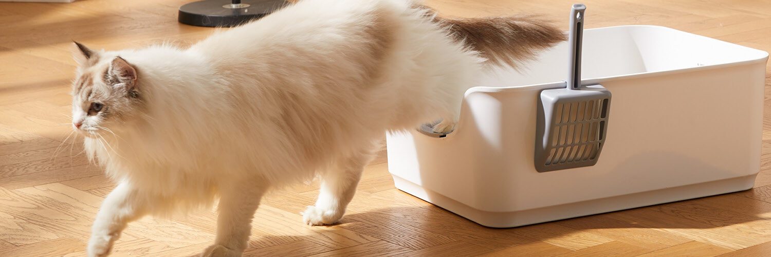 Langharige kat met 1 kattenbak en schepje