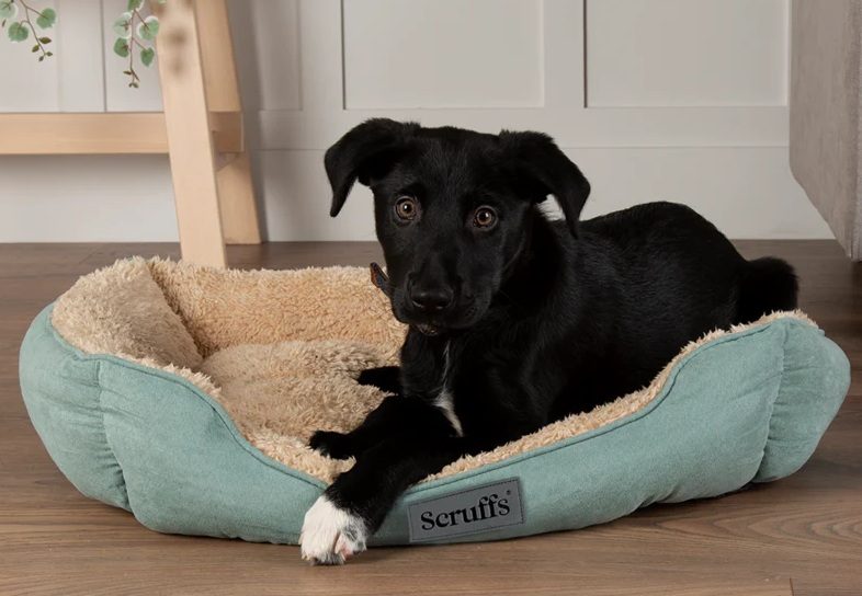 Scruffs Cosy bed met hond