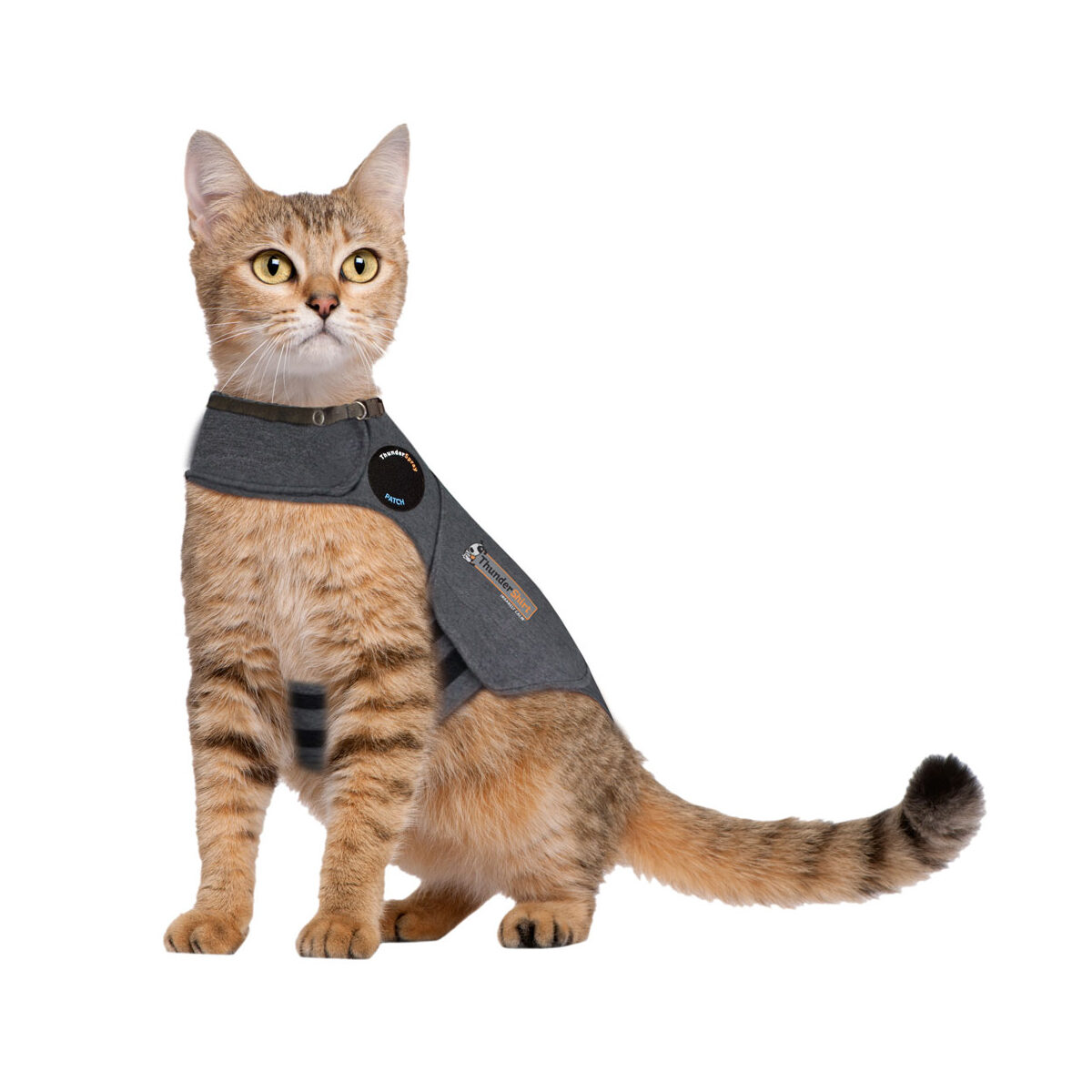 0001171185-92559-854880001585-thundershirt-antistress-vest-kat-grijs-l-41-58-cm-1