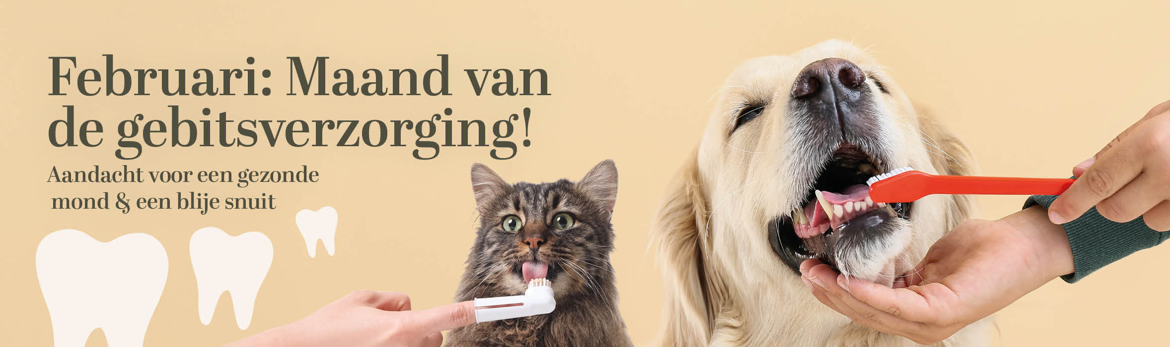 Een schone kattenbak