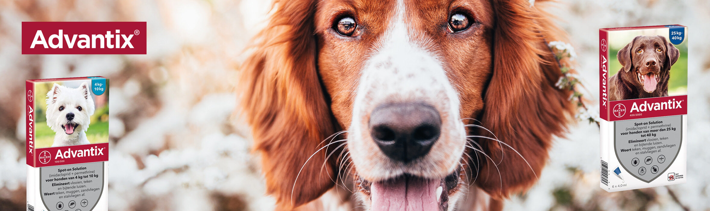 Advantix producten