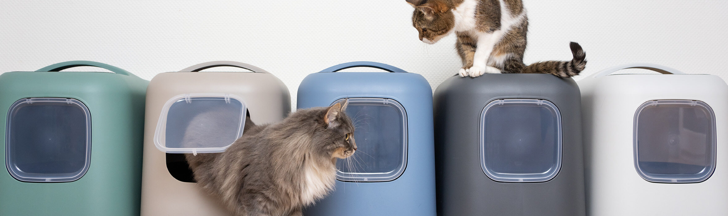 2 katten met een aantal kattenbakken