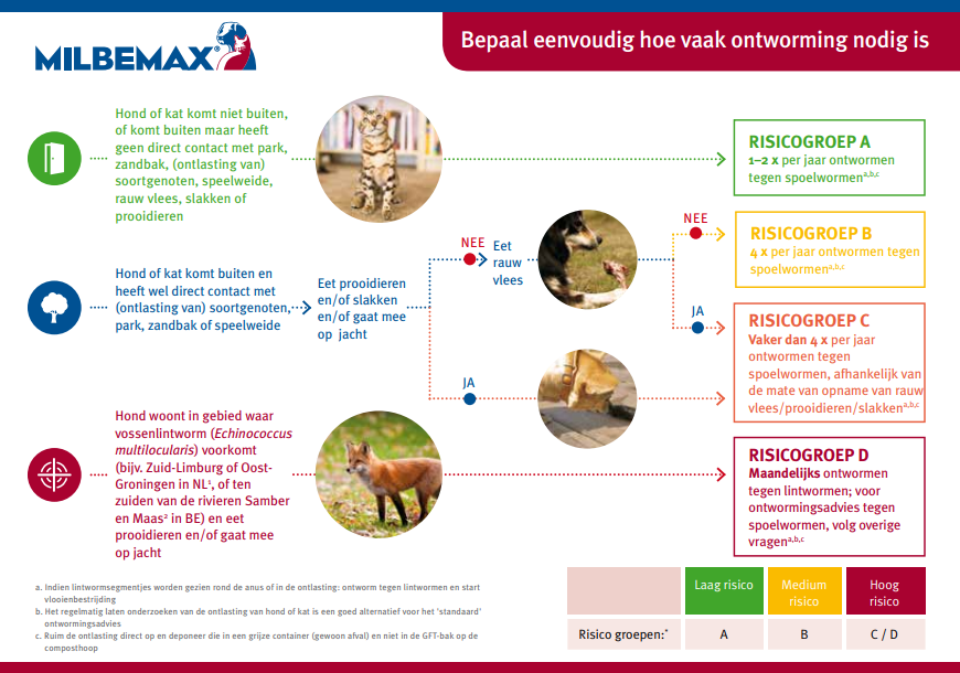 Ontwormschema voor het ontwormen kitten • Discus