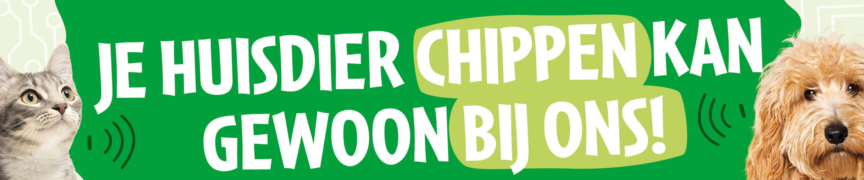 Chip uitlezen Discus Martsenhoek